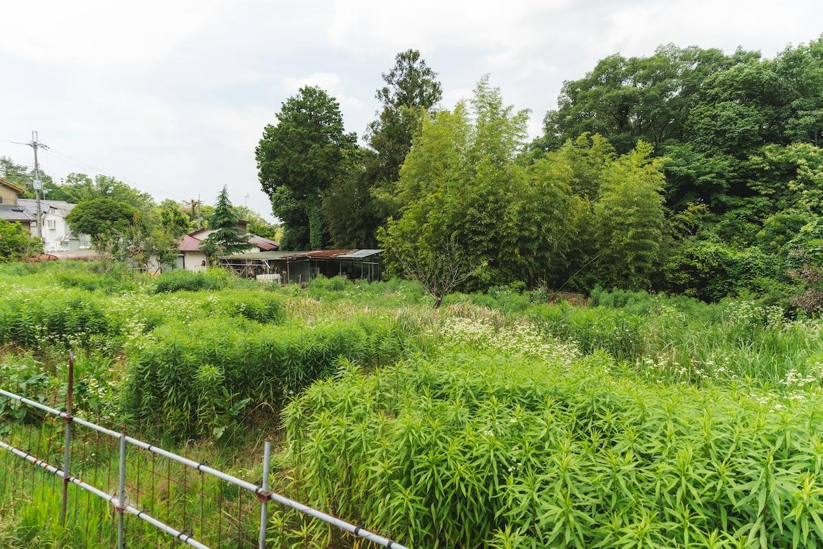 神戸市北区有野町唐櫃の売買物件/このフェンスまでが本件土地です