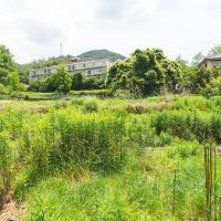 神戸市北区有野町唐櫃の売買物件/今は草が伸びてしまっていますが、二段の農地があります