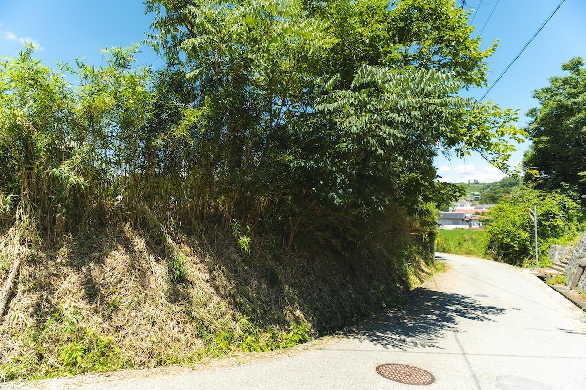 神戸市北区淡河町淡河の売買物件/道路に沿って木の生い茂る法地があります