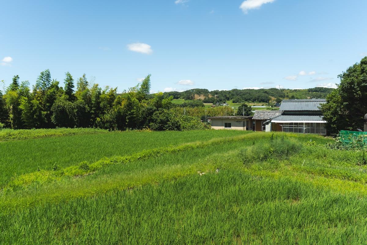 神戸市北区淡河町淡河の売買物件/周辺は田んぼや畑が広がる風景