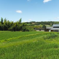 神戸市北区淡河町淡河の売買物件/周辺は田んぼや畑が広がる風景