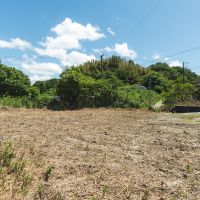 神戸市北区淡河町淡河の売買物件/宅地から東を向いた景色