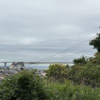 神戸市垂水区西舞子の売買物件/庭から