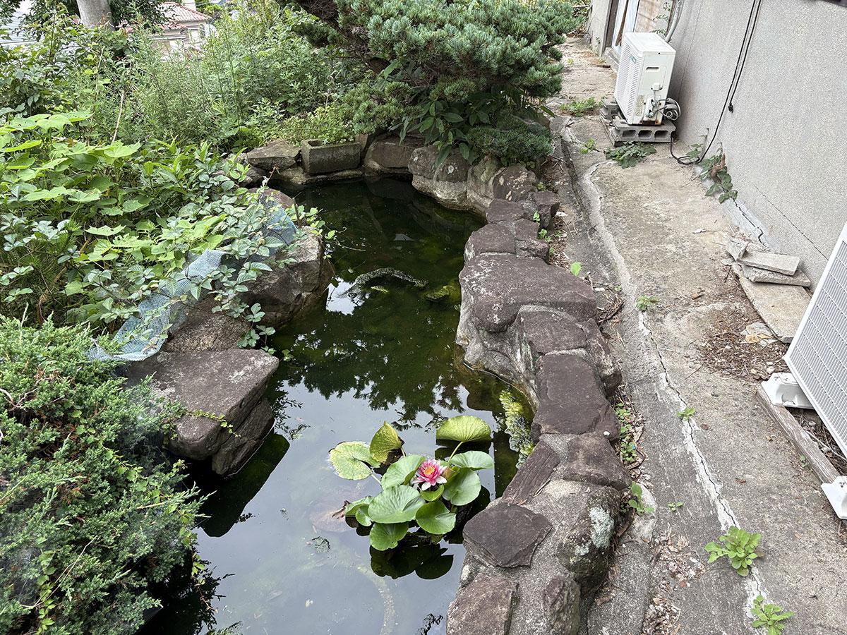 神戸市垂水区西舞子の売買物件/定番の池も完備