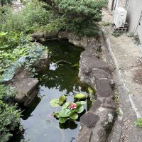 神戸市垂水区西舞子の売買物件/定番の池も完備