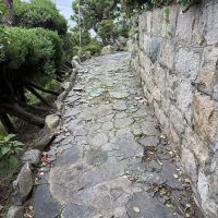 神戸市垂水区西舞子の売買物件/玄関までの小道