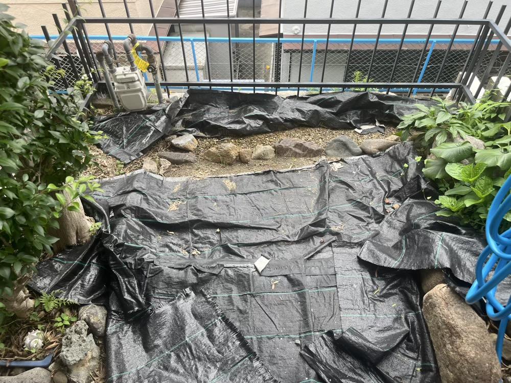 神戸市灘区薬師通の賃貸物件/玄関側にも小さな庭があります。