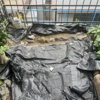 神戸市灘区薬師通の賃貸物件/玄関側にも小さな庭があります。