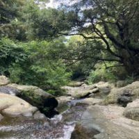 神戸市兵庫区千鳥町の賃貸物件/烏原貯水池を抜けると六甲全山縦走路へ続く