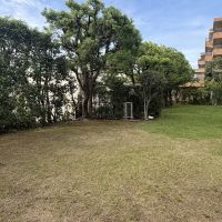 神戸市東灘区森北町の賃貸物件/建物裏に共用庭もあります。友人を呼んでBBQも可能○