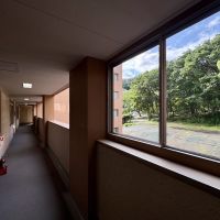 神戸市東灘区本山北町の売買物件/共用廊下からも、山の緑がすぐそこに。