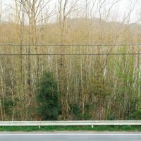 三田市末の売買物件/冬場は湖岸の木々が落葉して、うっすら湖が見えます