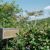 神戸市北区京地の売買物件/グリーンに囲まれて