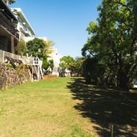 神戸市東灘区森北町の賃貸物件/耕作以外O.K.な共用庭。BBQもできちゃう！