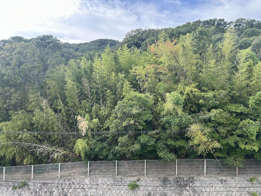 神戸市須磨区一ノ谷町の賃貸物件/団地の裏手は山です。