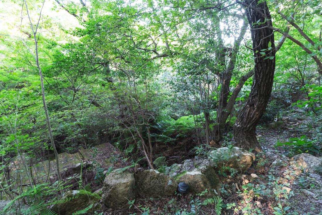 西宮市鷲林寺南町の賃貸物件/そのまま山歩きもできちゃう