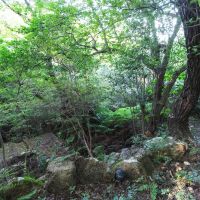 西宮市鷲林寺南町の賃貸物件/そのまま山歩きもできちゃう
