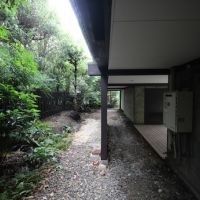 宝塚市野上の売買物件/北側の庭。建物下はかなり広い