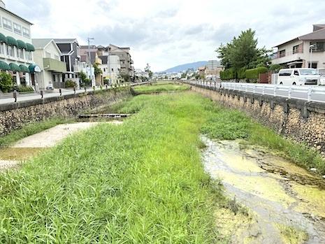 宝塚市野上の売買物件/毎日目にする逆瀬川