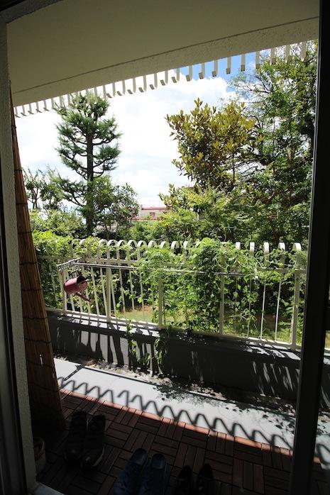 芦屋市東芦屋町の賃貸物件/リビングの窓からガーデンバルコニーを見下ろす