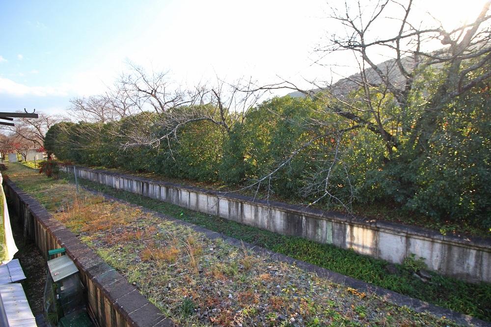 京都市西京区嵐山東一川町の売買物件/元々線路があった模様、春には桜
