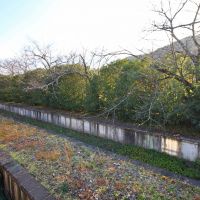 京都市西京区嵐山東一川町の売買物件/元々線路があった模様、春には桜