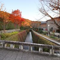 京都市左京区鹿ヶ谷上宮ノ前町69の賃貸物件/2分も歩けば哲学の道