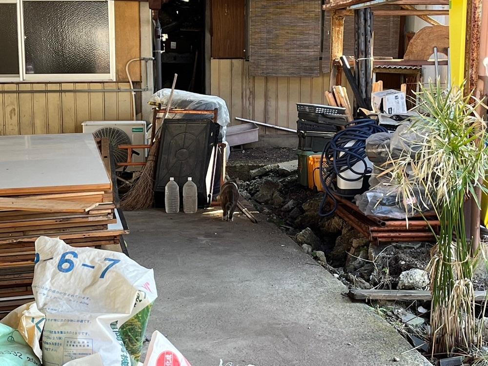 亀岡市大井町並河1丁目13-17、14-7の賃貸物件/集落には猫ちゃんも出入りしてます（よく見るとペットボトルの右手にいます）
