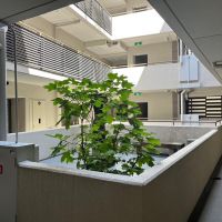 京都市下京区下材木町の賃貸物件/玄関前に憩いの場（共用スペース）
