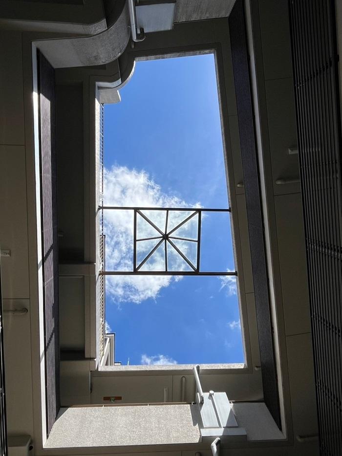京都市下京区下材木町の賃貸物件/憩いの場から見上げるとこう