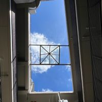 京都市下京区下材木町の賃貸物件/憩いの場から見上げるとこう