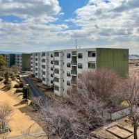 京都市右京区梅津大縄場町の賃貸物件/植栽の四季折々の景色も楽しめそう