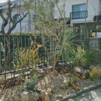  大山崎町円明寺脇山の売買物件/庭の植栽も建物全体の風合いに合わせてやりかえられています。