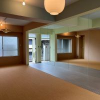 京都市右京区嵯峨中通町13-36の賃貸物件/【203】こちらも流石アパレル関係！一面鏡でまるでショップ。この内の一部がサニタリースペースへの入口になってます（よーく見るとドアノブ付いてます）