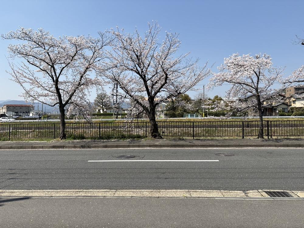 京都府京都市左京区高野泉町の売買物件/目の前には高野川