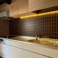 滋賀県大津市木下町の売買物件/前面タイルは渋いカラーリング。コンロはガス3口。