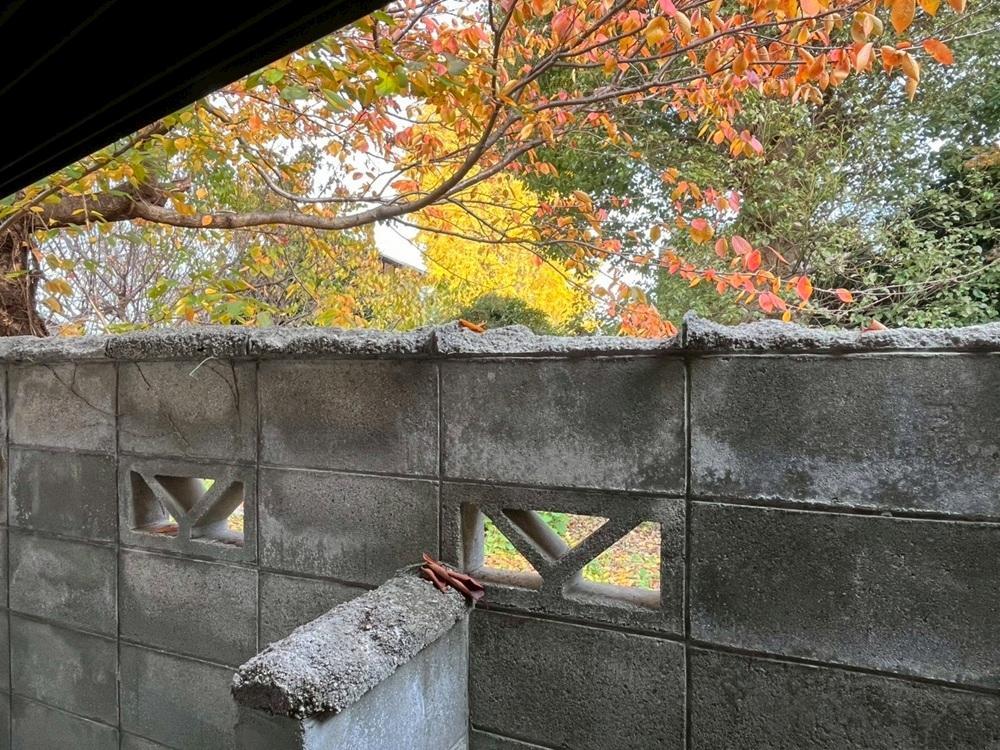 滋賀県大津市木下町の売買物件/隣地は神社。本来本物件敷地も和田神社の境内だったとか。