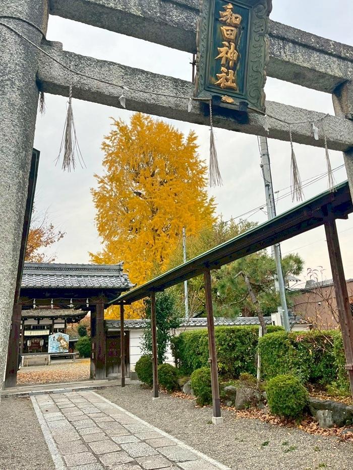 滋賀県大津市木下町の売買物件/隣地の和田神社の境内には天然記念物に指定されている樹齢約650年の大銀杏