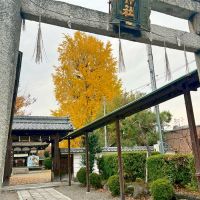 滋賀県大津市木下町の売買物件/隣地の和田神社の境内には天然記念物に指定されている樹齢約650年の大銀杏