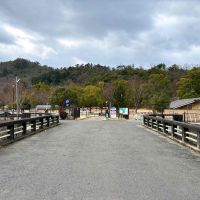 京都市左京区上高野石田町の賃貸物件/宝ヶ池公園内の子供の楽園にすぐに到着。これにはお子さんも大喜びしそう