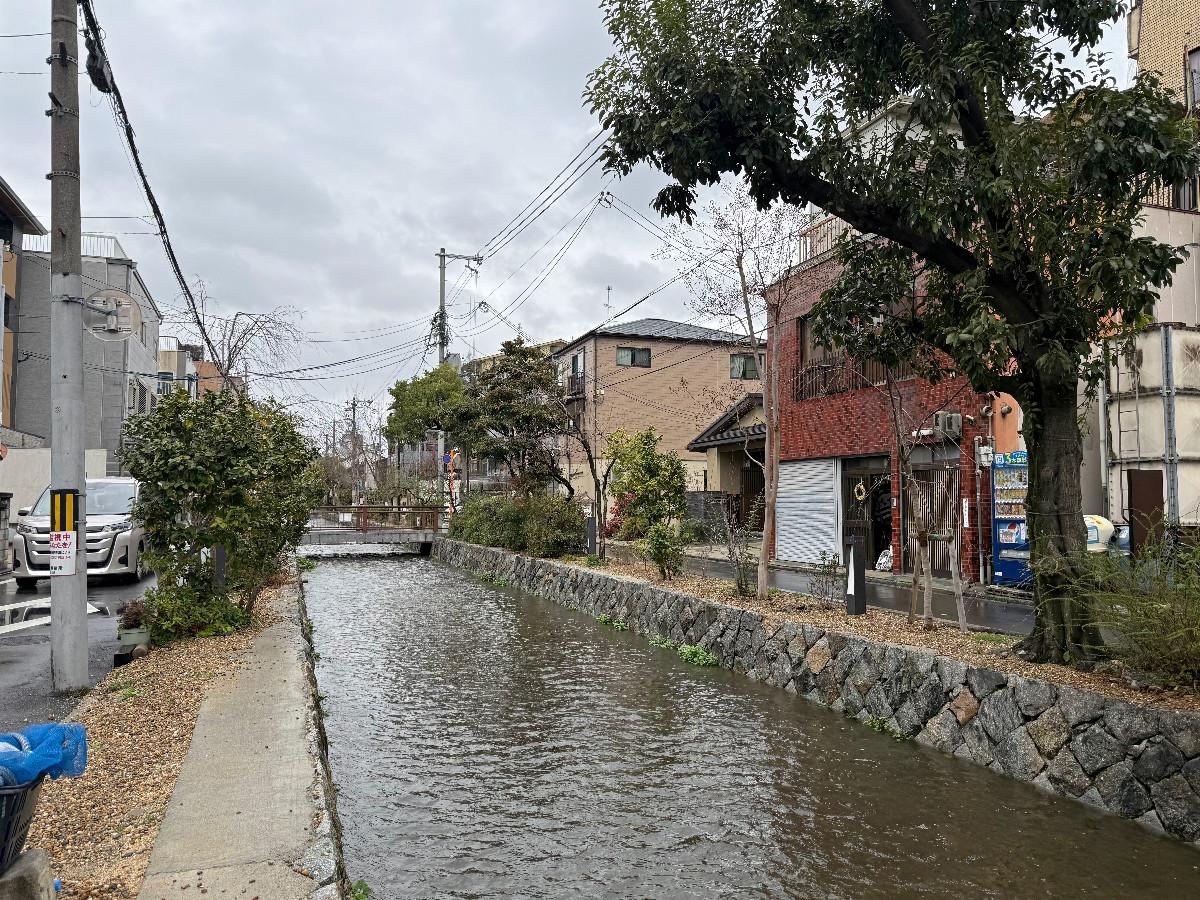 〒600-8141 京都府京都市下京区新日吉町の賃貸物件/路地を出た先にある高瀬川。きれいに整備されて明るい雰囲気に変わっています