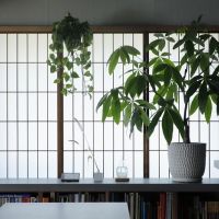 京都市左京区北白川追分町の売買物件/リビング西側の窓。障子越しに柔らかい自然光が心地良さそう（photo by来田猛氏）