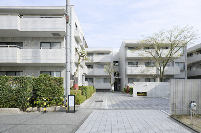 京都市左京区北白川追分町の売買物件/周辺は京都大学敷地内の緑と低層住宅に囲まれている