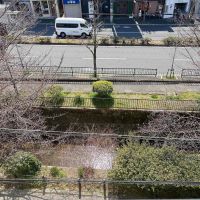 京都市左京区北白川久保田町の賃貸物件/桜の咲かない時期は真下には琵琶湖疎水のきらきらと美しい水面が目を惹きます
