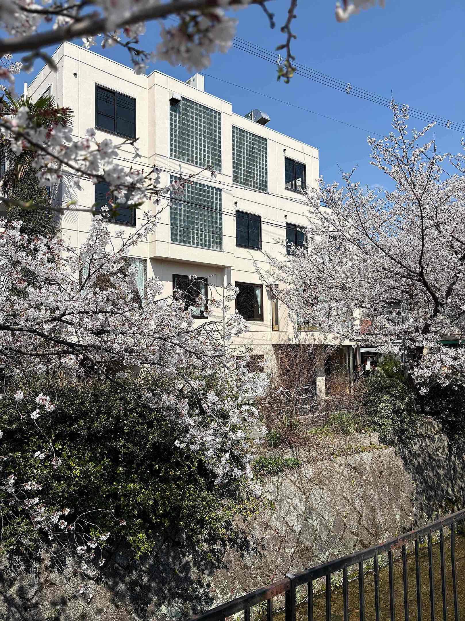 京都市左京区北白川久保田町の賃貸物件/建物外観は規則正しく並んだ窓が印象的。設計は建築家若林広幸氏によるもの。