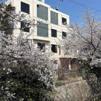 京都市左京区北白川久保田町の賃貸物件/建物外観は規則正しく並んだ窓が印象的。設計は建築家若林広幸氏によるもの。