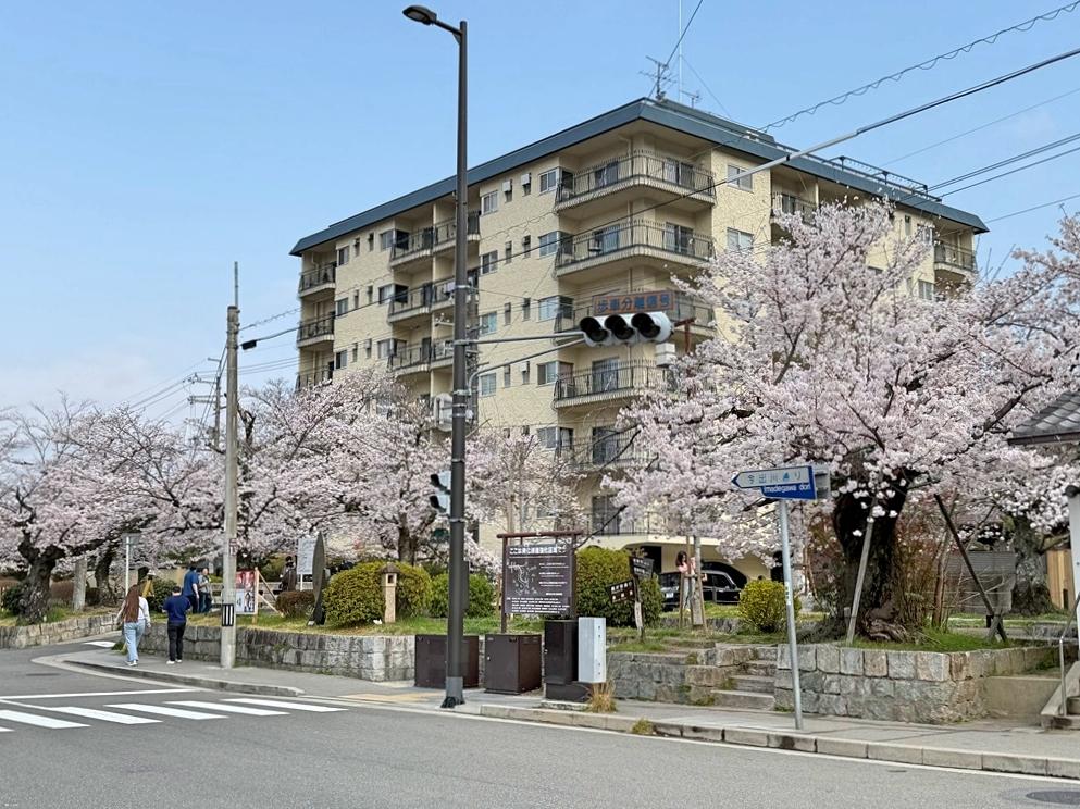 京都市左京区銀閣寺前町の賃貸物件/低層住宅の中にどっしりと構えるヴィンテージマンション（オーナー提供写真）