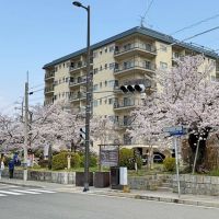 京都市左京区銀閣寺前町の賃貸物件/低層住宅の中にどっしりと構えるヴィンテージマンション（オーナー提供写真）