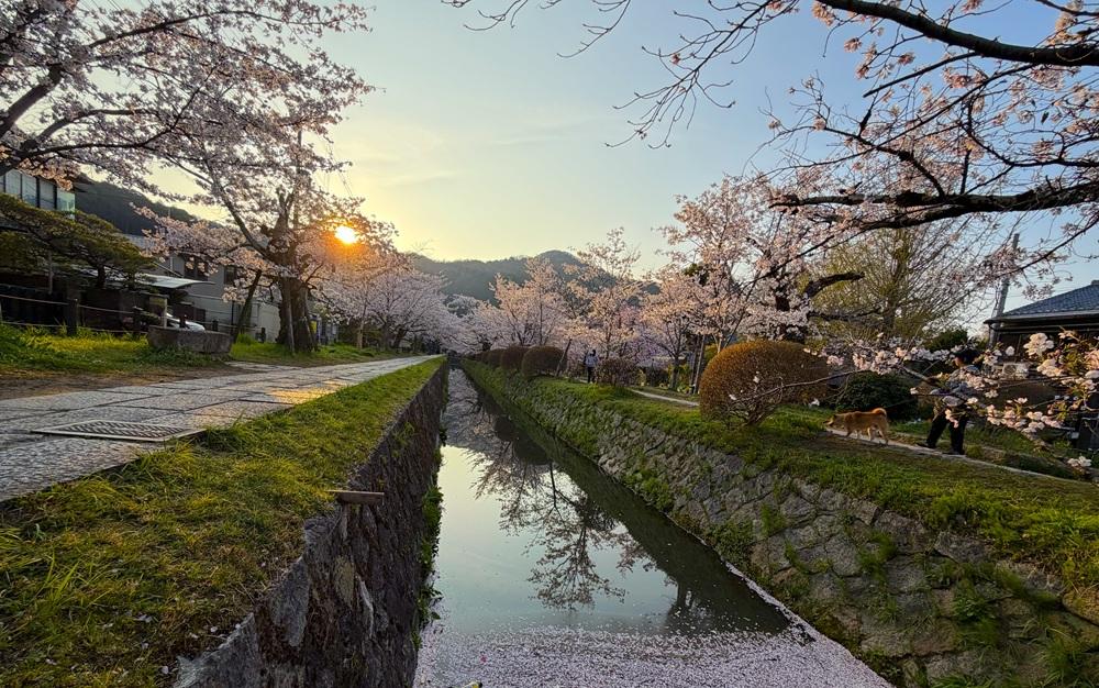京都市左京区銀閣寺前町の賃貸物件/早起きは三文の徳（オーナー提供写真）
