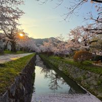 京都市左京区銀閣寺前町の賃貸物件/早起きは三文の徳（オーナー提供写真）